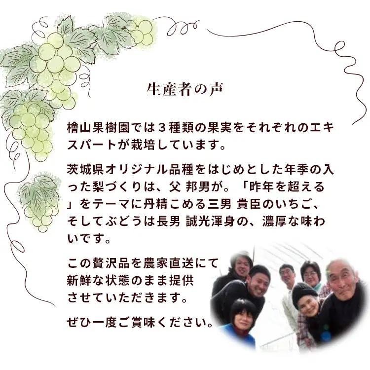 梨 食べ比べ 約5kg 3種類 梨