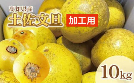 【先行予約】【訳あり】土佐文旦 加工用（M～5L混合）約10kg〈2027年2月中旬～発送〉/ 文旦 10キロ 約16～30玉 ぶんたん ブンタン 柑橘 果物 フルーツ【株式会社とさもん】 [BQAE034]