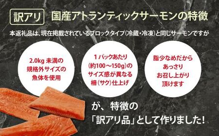訳あり サーモン 約1kg 国産サーモン 訳あり