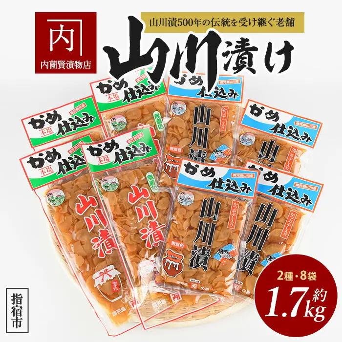 老舗｢内薗賢漬物店｣の本場山川漬セット 活お海道 IB046-009 漬物 漬物