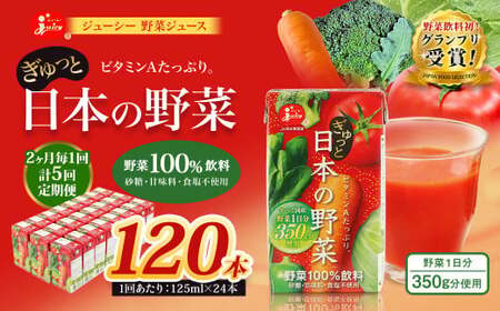 ＜ R8年熊本地震復興支援 ＞【2ヶ月毎5回定期便】【野菜飲料初！ジャパンフードセレクション グランプリ受賞】 ジューシー 野菜ジュース ぎゅっと日本の野菜 100％ 125ml×24本 ジュース 紙パック 国産
