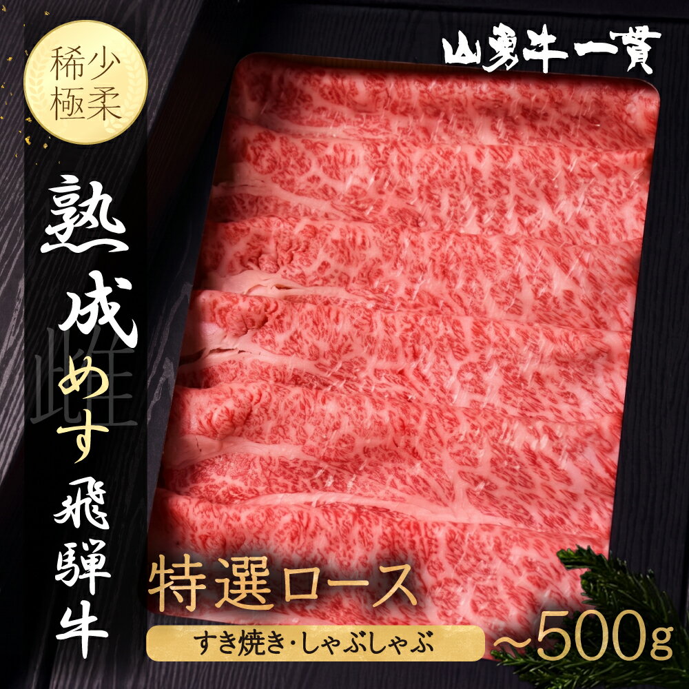 【ふるさと納税】＼選べる内容量／『山勇牛』特選ロース すき焼き・しゃぶしゃぶ 300g 500g すき焼き用 500g A4・A5ランク飛騨牛 和牛 肉 熨斗掛け 飛騨市