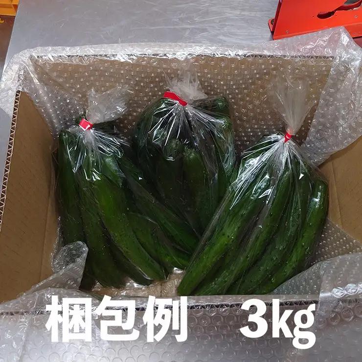 新鮮きゅうり3kg【特別栽培農産物】きゅうり