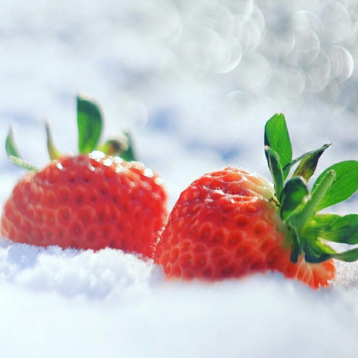 【ふるさと納税】【6月より順次発送】湯沢いちご村　冷凍いちご　越後姫（えちごひめ）1kg【地場産品】