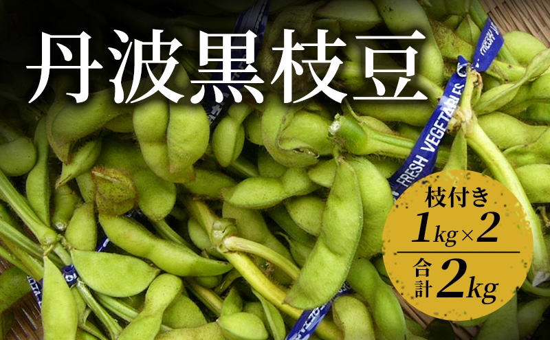 
                  [№5334-0704]丹波黒枝豆　1kg（枝付き）×2 | 野菜 えだまめ えだ豆 おつまみ 京都府 南丹市
                