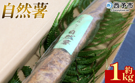 ＜自然薯 約1kg＞ 野菜 やさい 山芋 長芋 いも とろろ じねんじょ 国産 愛媛県産 とろろご飯 とろろ汁 料理 ノムランド 愛媛県 西予市【常温】『2026年1月中旬～3月末迄に順次出荷予定』NNM0008