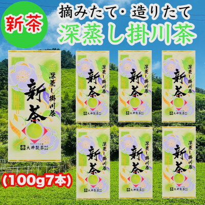 【ふるさと納税】【5月下旬より順次発送】新茶深蒸し掛川茶　旬の香り・味をお届けします(100g10本/100g7本)【配送不可地域：離島・沖縄県】【G1340678】