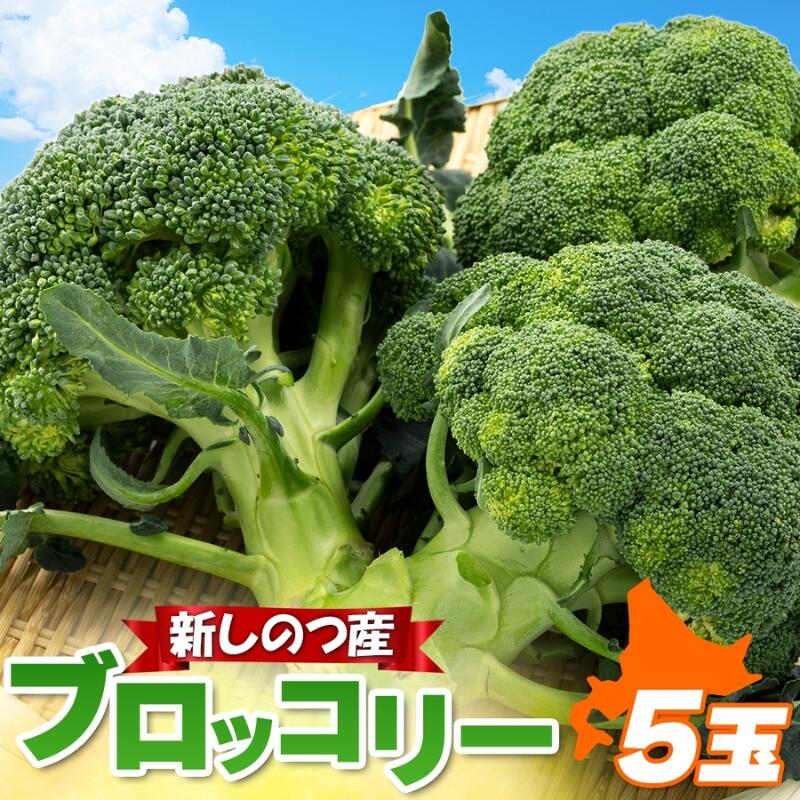 【ふるさと納税】北海道 新しのつ産 ブロッコリー 5玉 グリーン野菜 旬 野菜 甘い お取り寄せ 国産 農作物 JA新しのつ 送料無料 新篠津村　お届け：2026年6月下旬から2026年10月末
