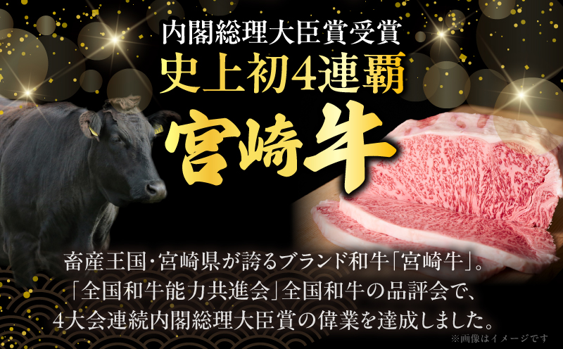 宮崎牛ローススライス(計800g)_T050-006【肉 牛 牛肉 国産 人気 ギフト 食品 おかず お肉 焼肉 BBQ 贈り物 送料無料 プレゼント】