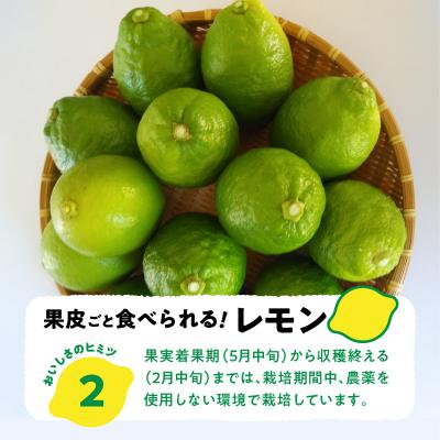 ふるさと納税 天草市 天草南蛮レモン　等級「優良混」3kg_S131-006A |  | 02
