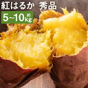 【ふるさと納税】紅はるか 秀品 約5kg/約10kg 選べる内容量 S～2L混合 さつまいも 芋 紅蜜芋 焼き芋 野菜 菊池市産 熊本県産 九州産 送料無料