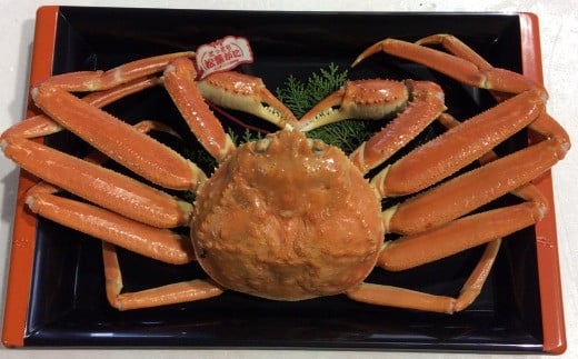 167-2．タグ付きボイル松葉ガニ（並５００ｇ）【魚倉】