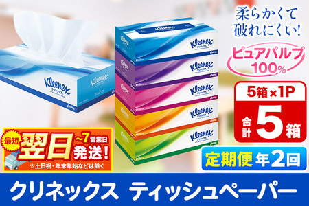 《6ヶ月ごとに2回お届け》定期便  ティッシュペーパー クリネックス ティシュー 5箱×1パック【レビューキャンペーン中】 秋田市オリジナル