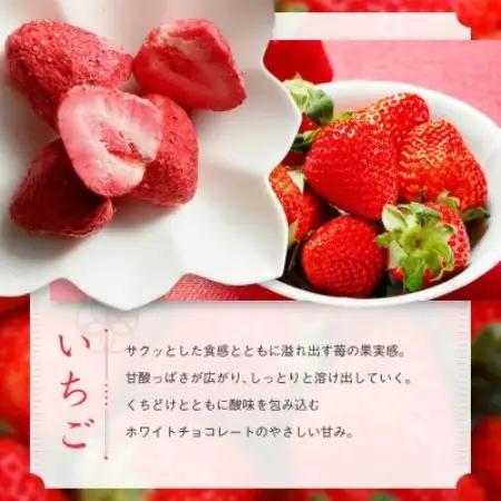 芦屋・寿果実　16袋セット【贈答箱】【配送不可地域：離島】【1750831】