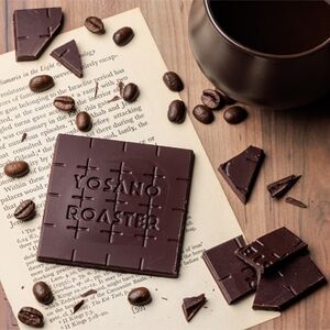 チョコレート ドミニカ産 CACAO 73% 2枚入×5箱 大人の板チョコ プレゼント・ギフトにも【配送不可地域：離島】【1715726】