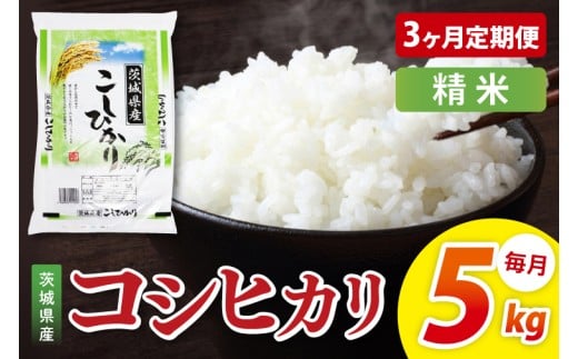 【3ヶ月定期便】茨城県産コシヒカリ　精米　5kg｜精米 定期便 お米 米 こめ コメ ごはん 白米 阿見町 茨城県 茨城県産 茨城県産米 安心 安全 送料無料 国産 人気 数量限定 高評価（85-23）