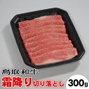 【ふるさと納税】鳥取和牛霜降り切り落とし（300g）※着日指定不可※離島への配送不可