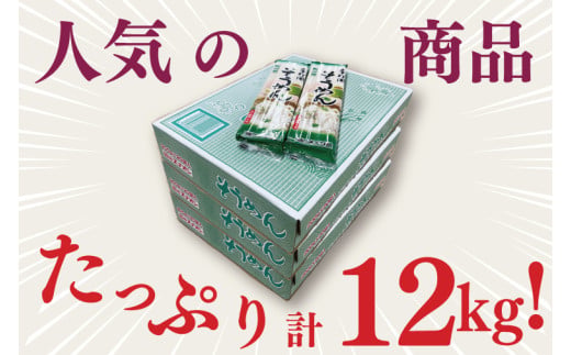【麺のスナオシ】手打風そうめん３箱　計12kg（200ｇ×60袋）（乾麺）乾麺 素麺 そうめん お取り寄せ 高評価 麺 即席麺 ストック 生活応援 非常食 簡単調理 長期保存 保存食 防災 人気 大容