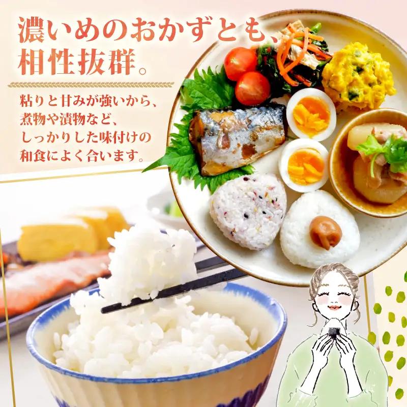 【令和8年産】新潟県産 ミルキークイーン 10kg 5kg×2袋 単品 特栽米 新潟県産 ミルキー 新発田産 新潟 ふるさと納税 米 お米 アグリ中俵 特別栽培米白米 米 お米 こめ コメ ライス ご