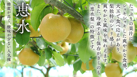 【 先行予約 】 茨城県 オリジナル 品種の 特選!! 恵水 ( 梨 ) 5kg 果物 フルーツ なし ナシ 赤梨 贈り物 贈答 贈答用 [AE025ci]