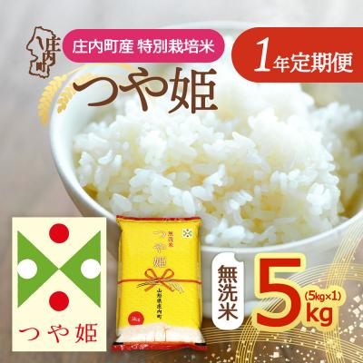 ふるさと納税 庄内町 【定期便】<令和8年産/令和9年産>つや姫 無洗米 5kg×1年間 特別栽培米【11月下旬発送】