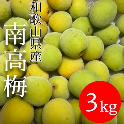 ふるさと納税 有田川町 和歌山県産　南高梅  3kg【青梅】