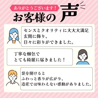 ふるさと納税 下関市 ドライフラワー アレンジメント LN004 |  | 03