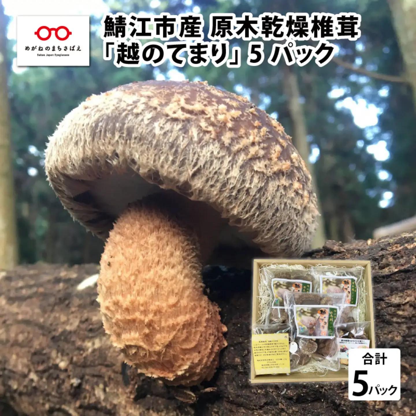 鯖江市産 原木乾燥椎茸「越のてまり」 （大・中サイズ）3パック &（小サイズ）2パック　計5パック　野菜　きのこ