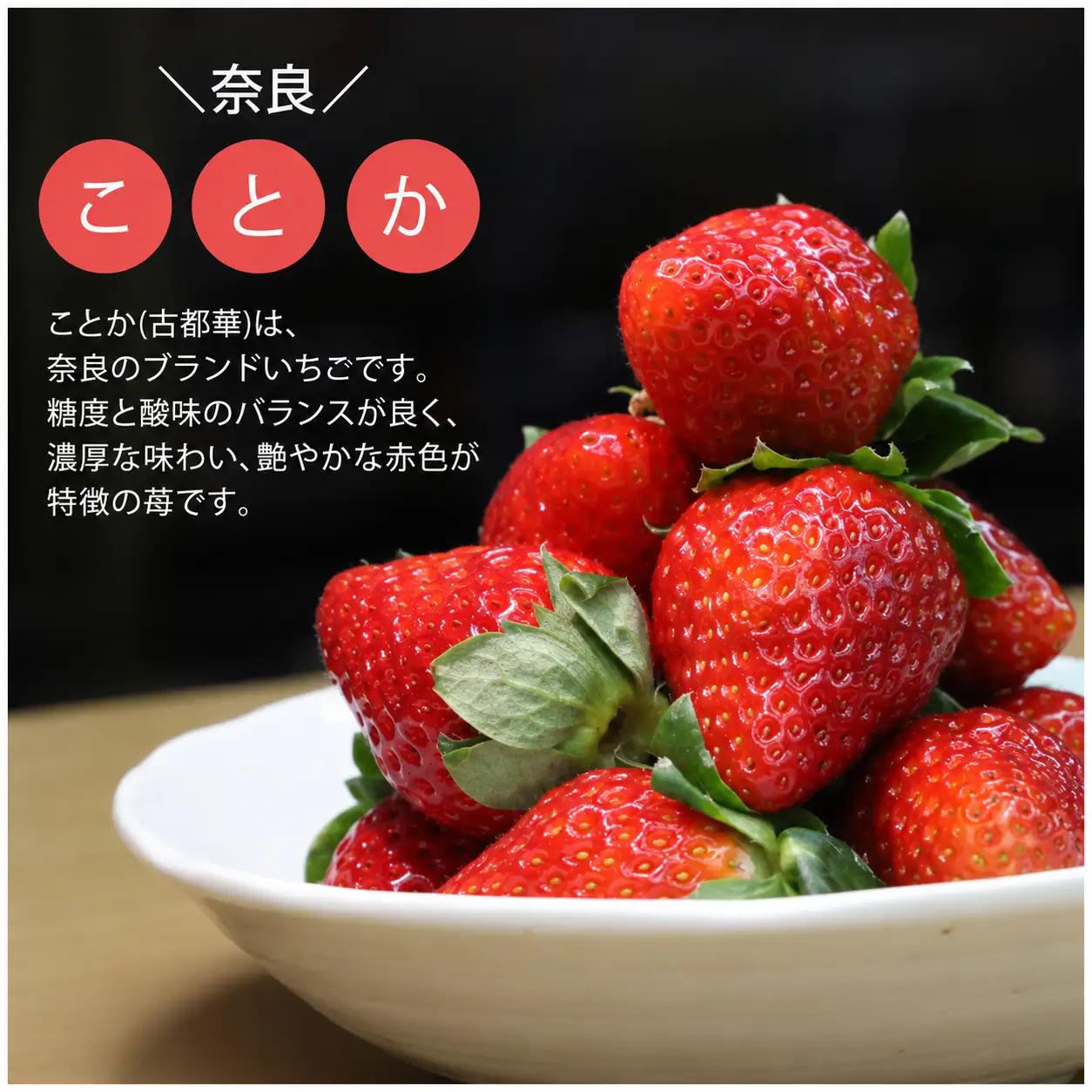 【先行予約】【定期便 2回】いちご 古都華 250g×２パック ことか いちご