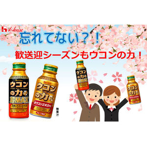 ハウスウェルネスフーズ ウコンの力 超MAX 120ml ボトル缶 1セット（ 6本 ）　飲料 ドリンク ウコンの力 ウコン ウコンエキスドリンク 飲み会 お酒 二日酔い 兵庫県 伊丹市