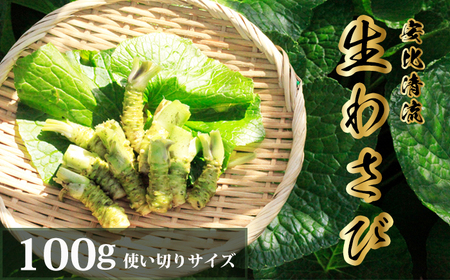岩手県産 生わさび 使い切りサイズ 100g 【安比清流山葵園】 ／ 山葵 ワサビ わさび 薬味 国産 八幡平市産 産地直送 新鮮 調味料 刺身 蕎麦 和え物 漬け物 刻み おろし 辛味 お寿司 そば 肉の薬味 魚の薬味 そばの薬味 おすすめ オススメ