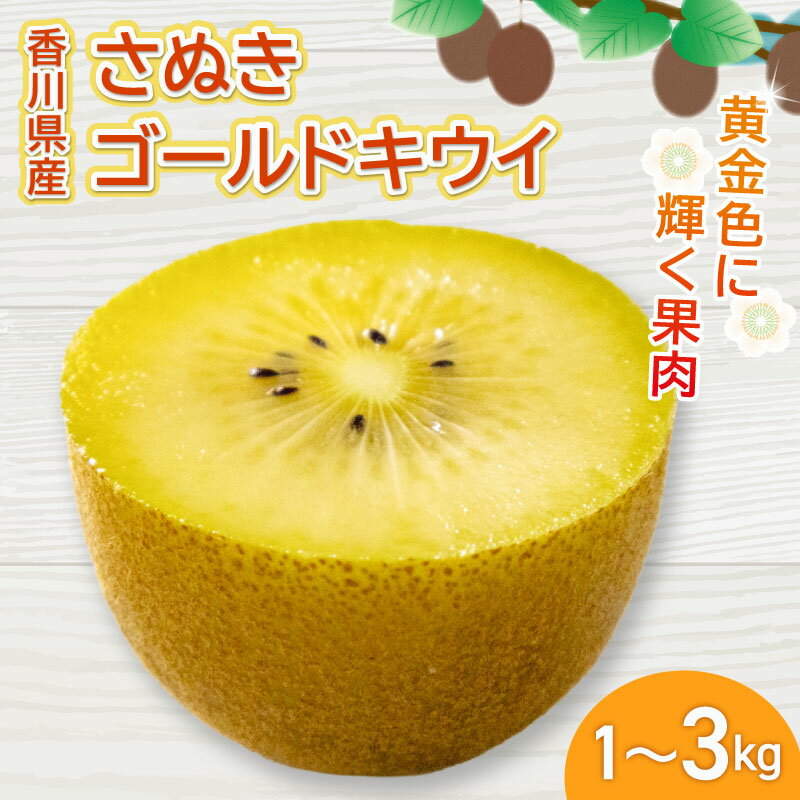 【ふるさと納税】 さぬきゴールドキウイ 選べる 約1kg ~ 約3kg 先行予約 キウイ 果物 フルーツ 香川県 丸亀市
