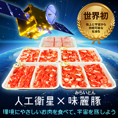 
味麗(みらい)豚もも肉切落し・挽き肉セット&衛星へのお名前刻印権付～地上と宇宙から持続可能な未来を～【 豚肉　豚もも ひき肉 豚ひき肉 国産豚 衛星 刻印 名入れ 権利 人工衛星
茨城県 つくば市 】
