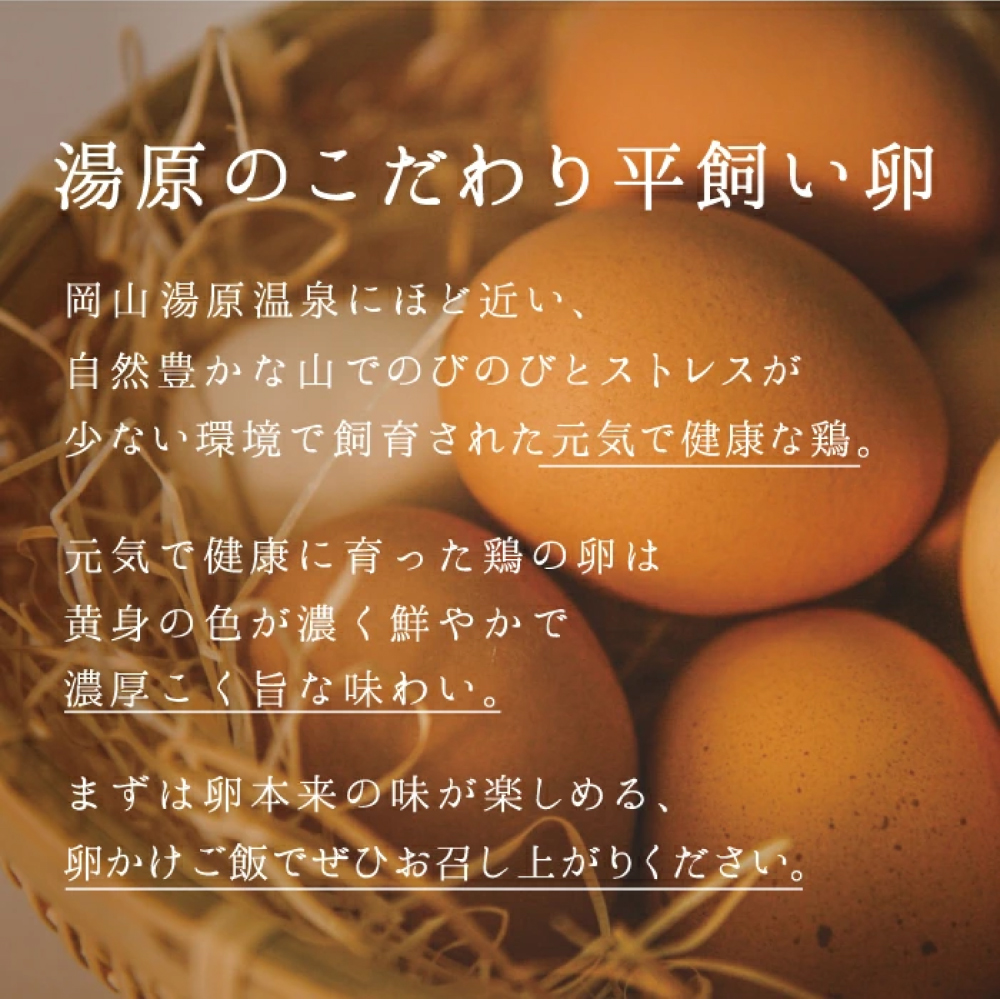 岡山県真庭産 卵 あさひの輝き ギフトセット 30個（10個×3パック） 平飼い たまご  【配送不可地域：北海道／沖縄県／離島】 【tamago001】【jujiya016】