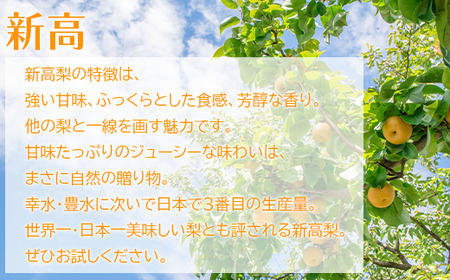 【先行予約】＜蔵王町産＞【特秀】新高梨3kg箱詰め　【04301-0605】