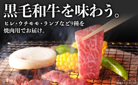 【国産黒毛和牛】焼肉食べ比べ 9種盛 各種80g_AE-E902