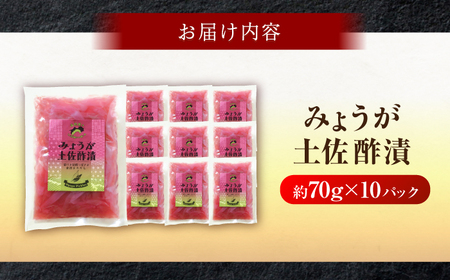 みょうが土佐酢漬け 約70g×10パック 【JapanGinger株式会社】 茗荷 ミョウガ 薬味 やくみ 漬物 ツケモノ シャキシャキ食感 適度な辛み[ATFD002]