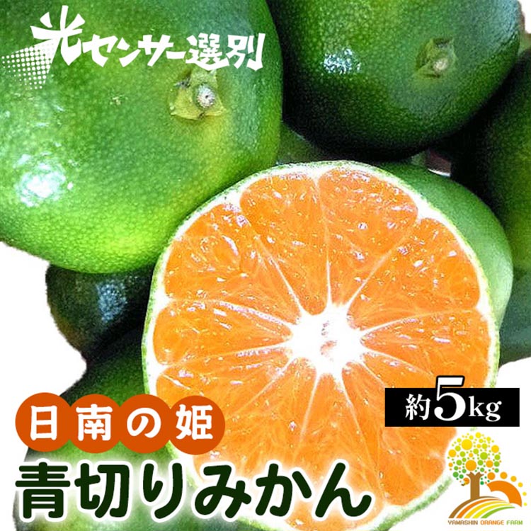 こだわりの青切りみかん 約5kg 農家直送 有機質肥料 100% サイズ混合 ｜ みかん 柑橘 果物 くだもの 果実 フルーツ 和歌山 有田 ※北海道・沖縄・離島への配送不可 ※2025年9月下旬～10月上旬頃に順次発送予定