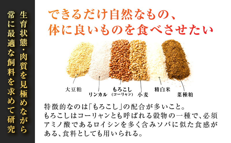 鹿児島うんまか豚生餃子9パック（餃子108個入り・タレ付）　K005-003_02