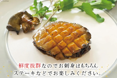【期間限定発送】 海鮮 魚介 三陸 天然 活 アワビ Lサイズ 900g(5～6個入)