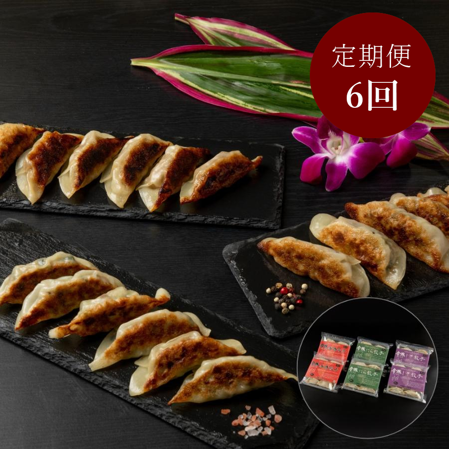 ＜金豚＞【定期便】金豚餃子60個セット×6回