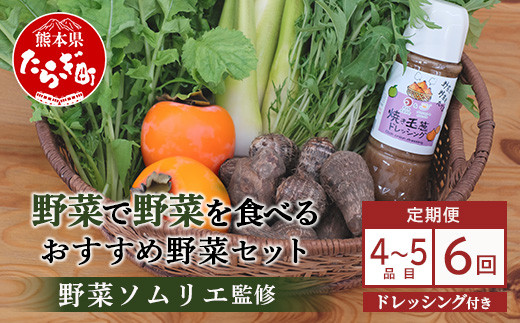 
            【定期便 6回】野菜ソムリエ 監修  旬の おすすめ 野菜＆野菜で野菜を食べる ドレッシング 定期便  (1〜2名様向け)  4 ~6種類 野菜 獲れたて 直送 旬 新鮮 セット 詰め合わせ 詰合せ  定期便 産地 直送 国産 旬 野菜 ひとり暮らし 夫婦  熊本県 多良木町 ドレッシング 024-0807
          