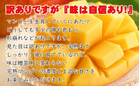 西都産完熟マンゴーご家庭用 ３～５玉（約１ｋｇ） ＪＡ西都《先行予約》＜1.5-64＞2025年発送