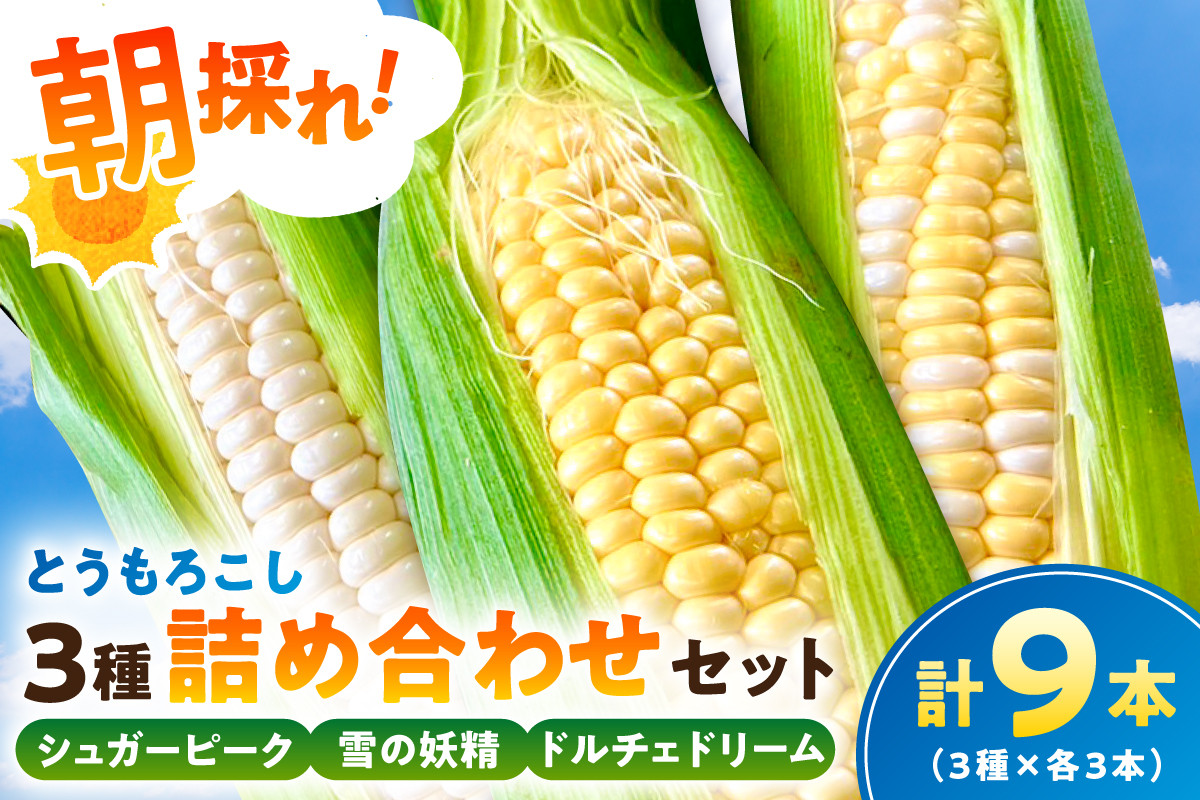 
            【千葉県産】朝採れとうもろこし3種詰め合わせセット（3種×各3本 計9本） mi0113-0003 【野菜 旬 食べ比べ 詰め合わせ 高糖度 生食可】
          