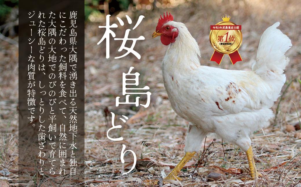 【全3回定期便】鹿児島県産　桜島どり（むね肉）2kg【BA36】