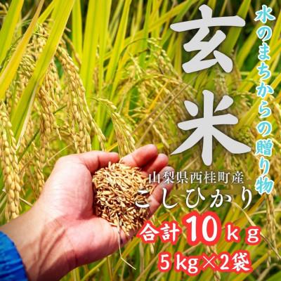 ふるさと納税 西桂町 健康志向の方へ【令和7年産】山梨県西桂町産 富士山麓「水のまち」こしひかり玄米 5kg×2袋