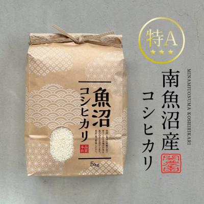 ふるさと納税 南魚沼市 生産農家直送!南魚沼産コシヒカリ 10kg | 