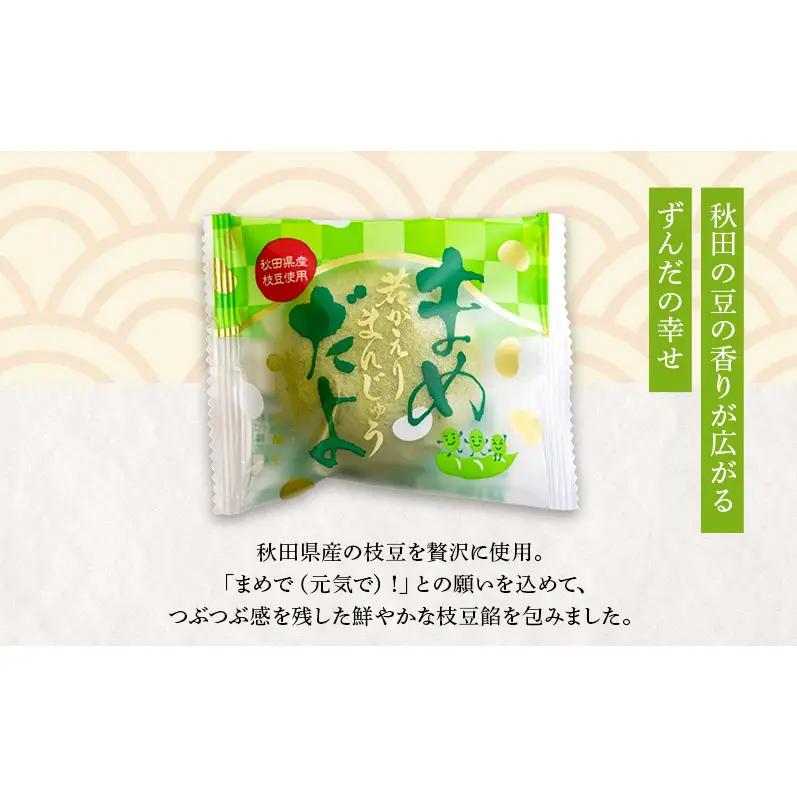 大正五年創業［お菓子の泉榮堂］若返りまんじゅう 3種セット15個入（若返り・黒いべ・まめだよ 各5個）［第25回全国菓子大博覧会 栄誉大賞受賞］【 秋田 羽後 和菓子 詰め合わせ 】