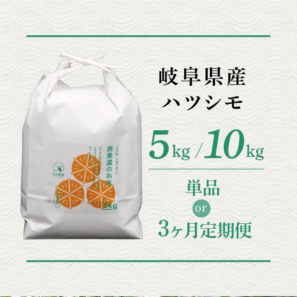 【令和7年度産】精米 ハツシモ 10kg｜ハツシモ