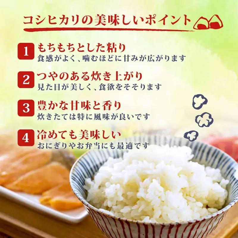 【コンテスト入賞米】 新米 特別栽培米 コシヒカリ 10kg 5kg×2袋 特栽米 新潟県産コシヒカリ 新発田産 新潟 米 アグリ中俵 新潟県 新発田市 【令和8年産 先行予約 2026年11月以降順